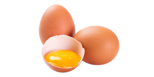 egg-yolk.png