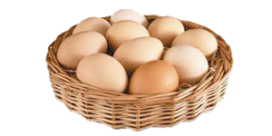 eggs.png