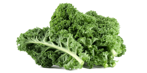 kale-1.png