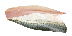 mackerel-slice.png