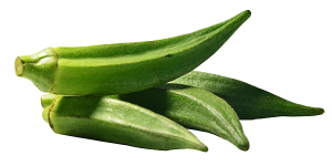 okra.png