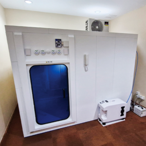 Wellness Hyperbaric Oxygen Therapy (HBOT)